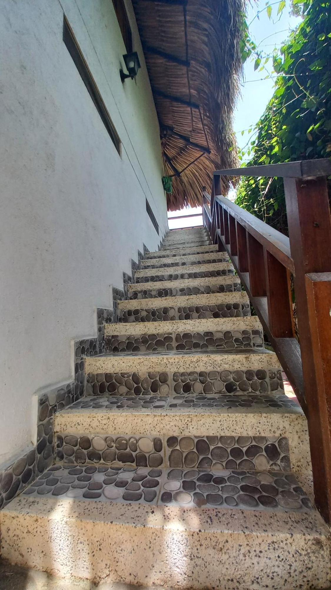 Hotel El Leon Feliz Palomino Zewnętrze zdjęcie